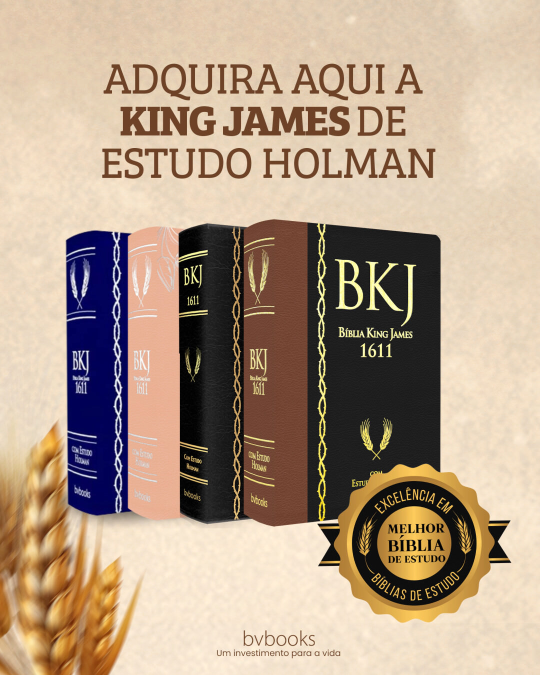 Adquira aqui a King James de Estudo Holman